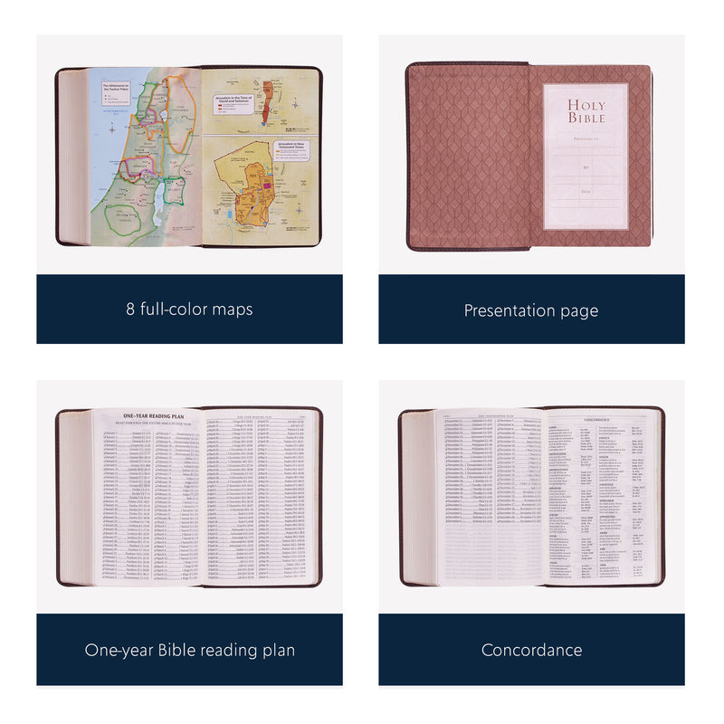 KJV Dark Brown Compact Size Holy Bible Large Print