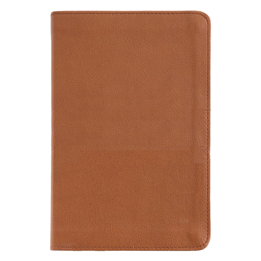 NIV Brown Compact Size Thinline Holy Bible Small Print