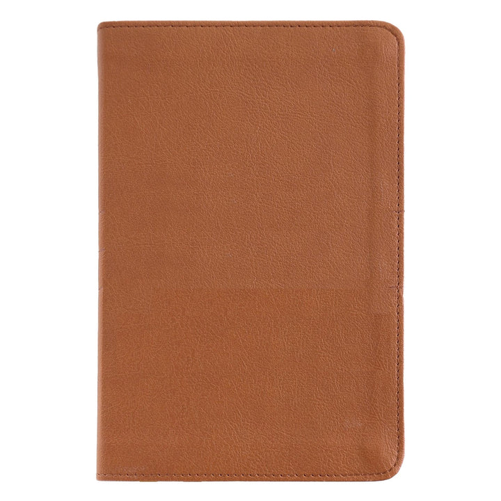 NIV Brown Compact Size Thinline Holy Bible Small Print