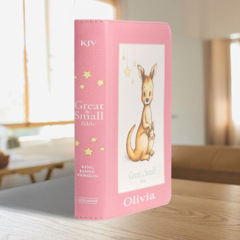 KJV Charming Pink Compact Size Kids Holy Bible Small Print