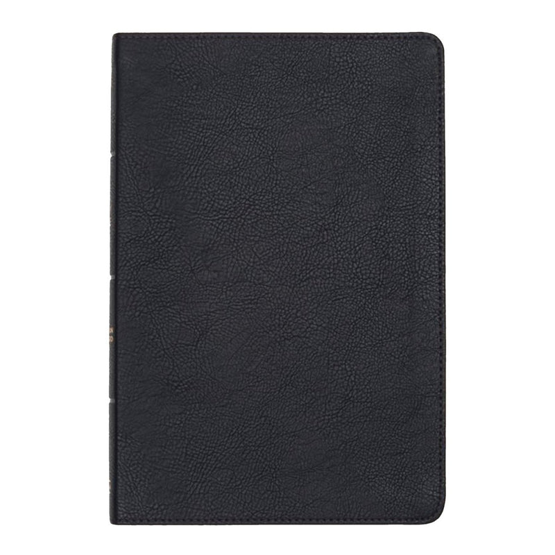 CSB Black Standard Size Holy Bible Large Print