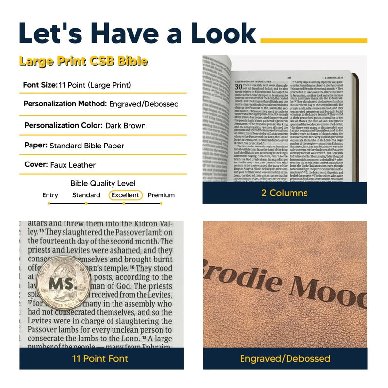 CSB Black/Brown Standard Size Holy Bible Large Print
