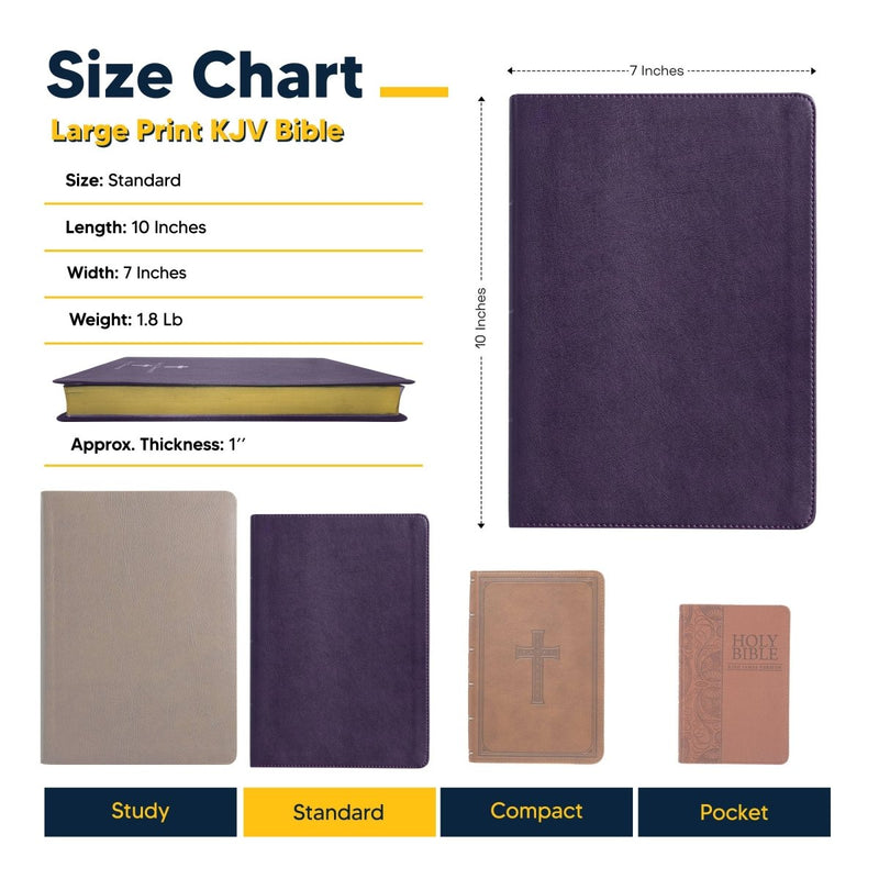 KJV Purple Standard Size Thinline Holy Bible Large Print