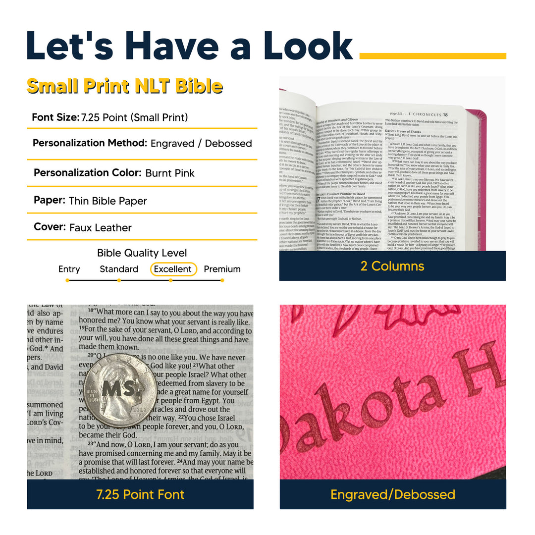 NLT Pink Standard Size Holy Bible Medium Print | Vine