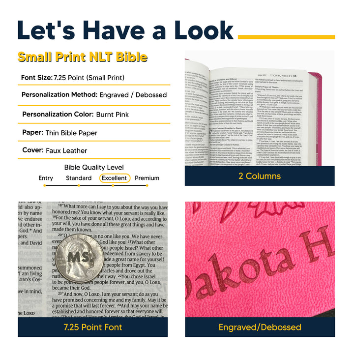 NLT Pink Standard Size Holy Bible Medium Print | Vine