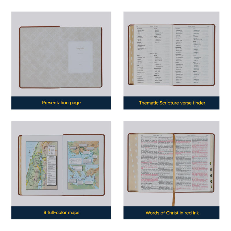 KJV Honey Brown Study Size Holy Bible Giant Print