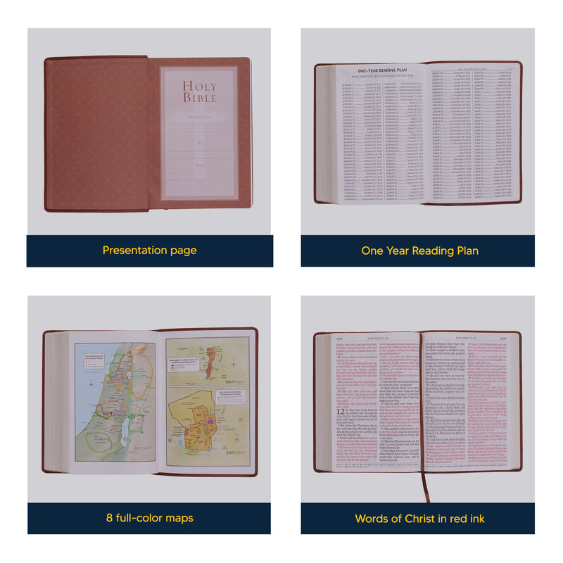 KJV Saddle Brown Study Size Holy Bible Super Giant Print