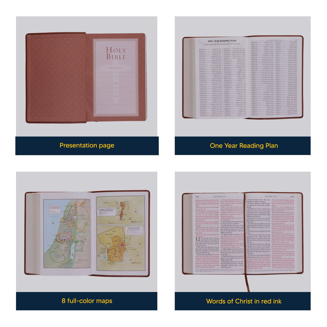 KJV Saddle Brown Study Size Holy Bible Super Giant Print