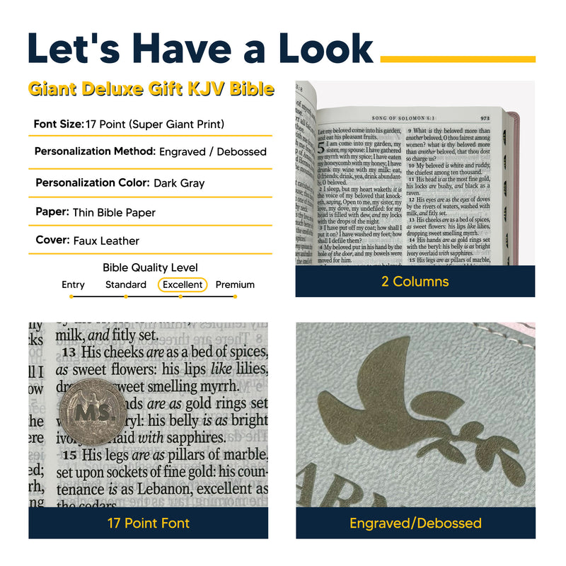 KJV Pink Gray Study Size Holy Bible Giant Print