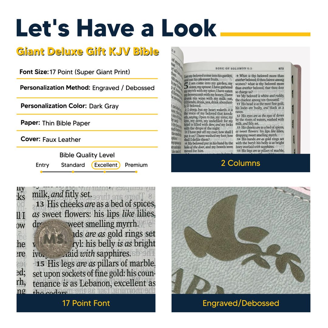 KJV Pink Gray Study Size Holy Bible Giant Print