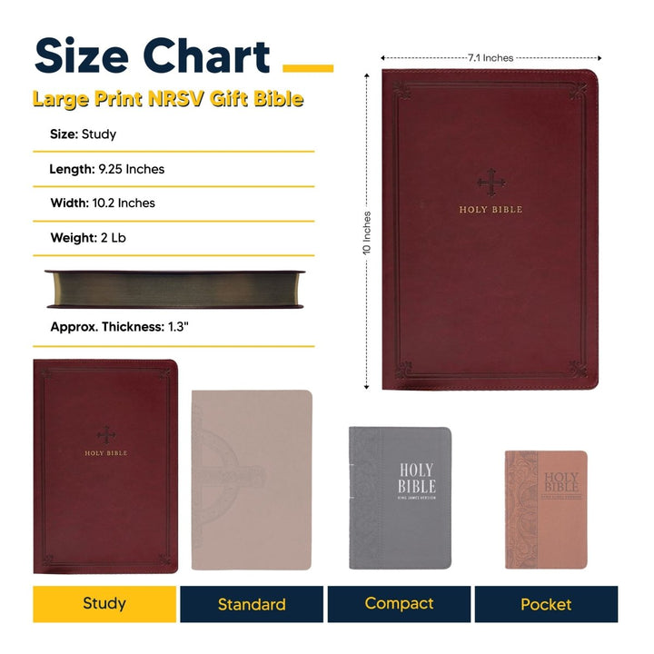 NRSV Red Study Size Holy Bible Large Print | Catholic Standard