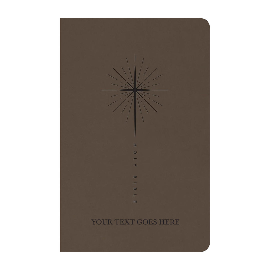 NLT Taupe Standard Size Trutone Holy Bible Small Print