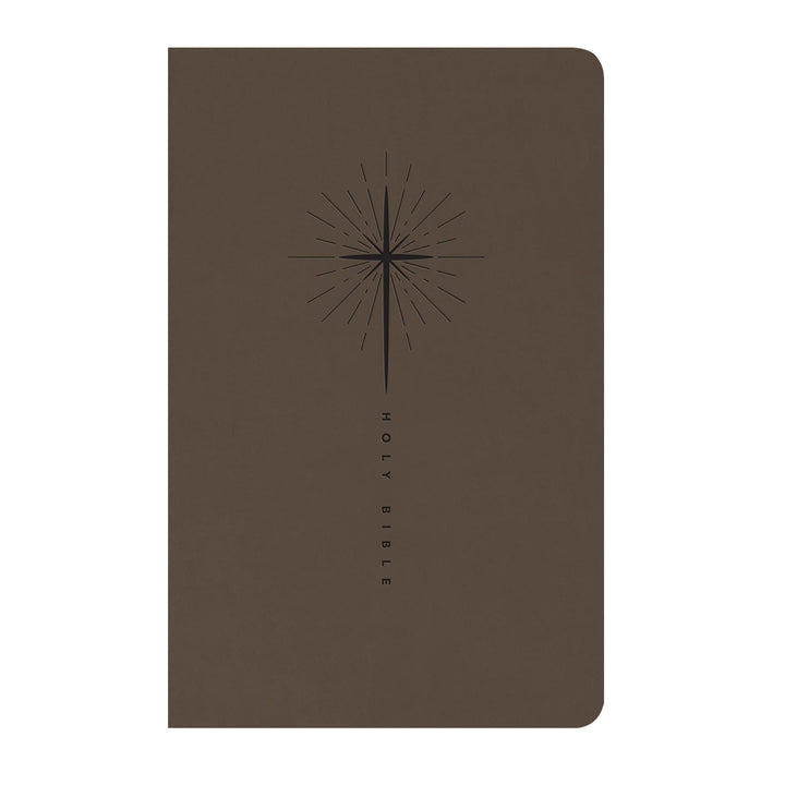 NLT Taupe Standard Size Trutone Holy Bible Small Print