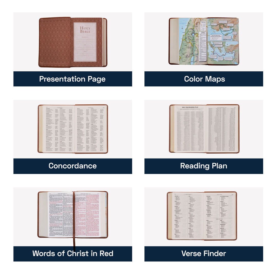 KJV Brown Compact Size Holy Bible Large Print