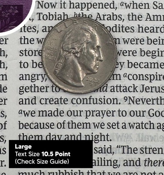 Print sample for this Bible