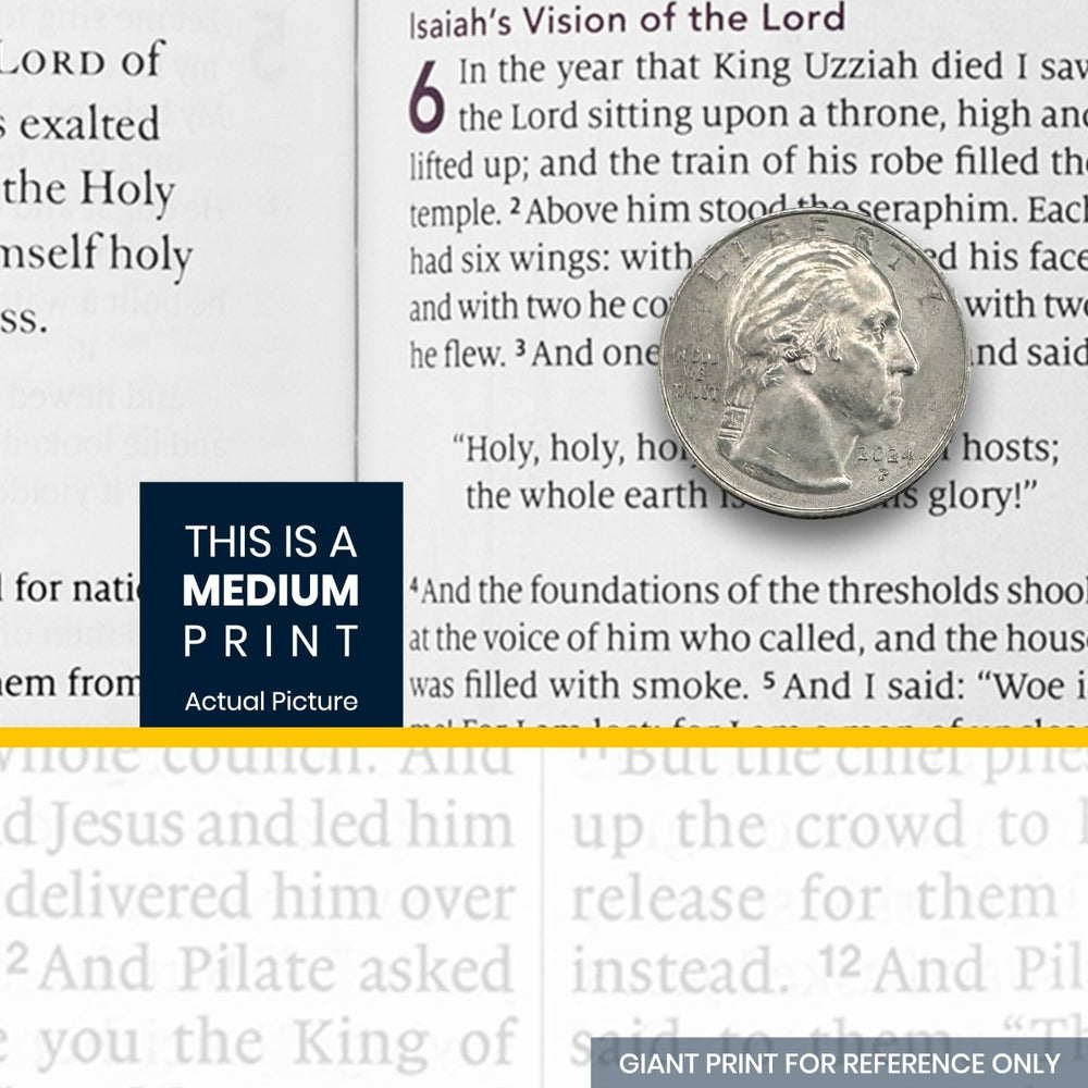 Print sample for this Bible