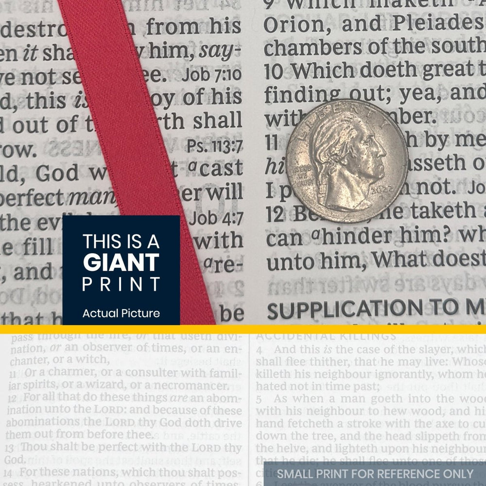 Print sample for this Bible