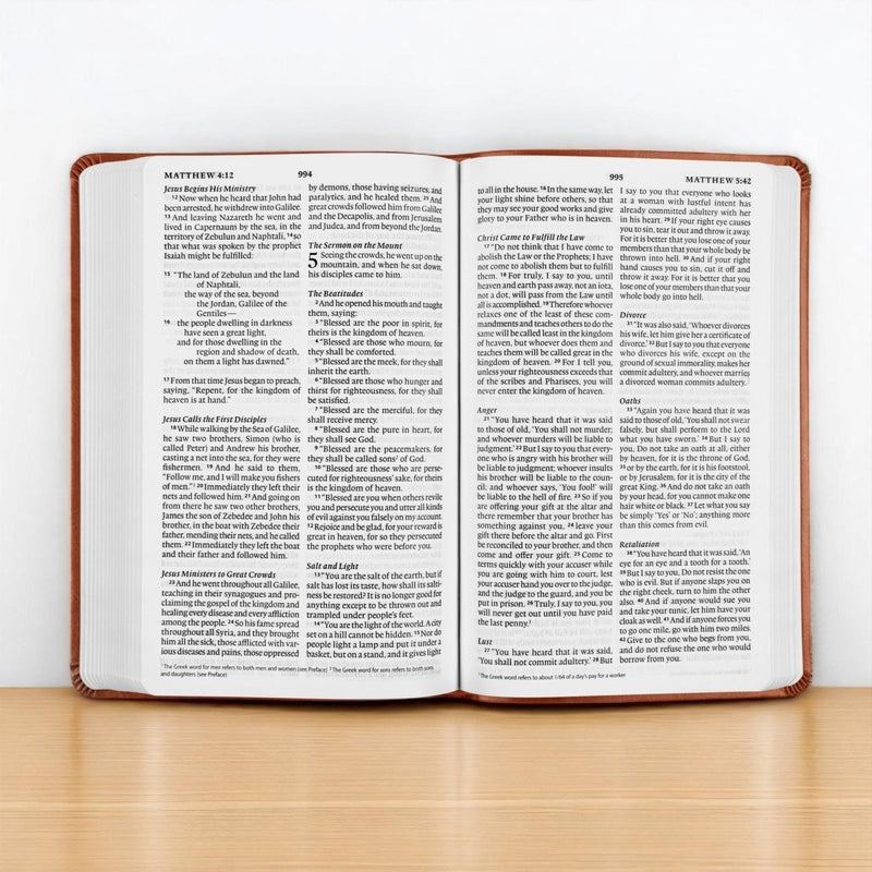 ESV Light Brown Standard Size Holy Bible Large Print | Be the Light