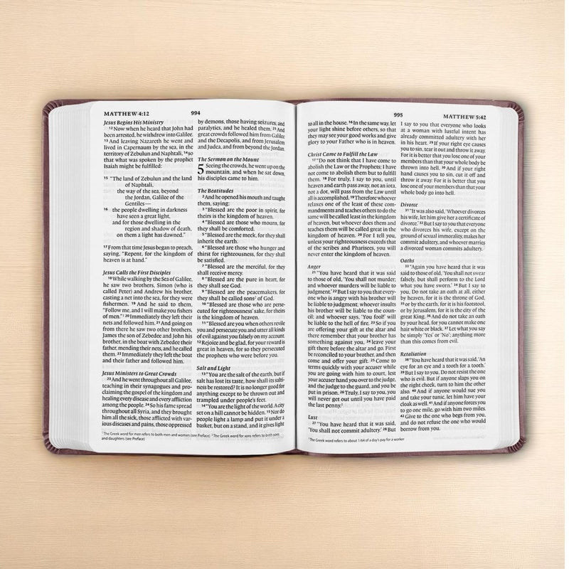 ESV Purple Plum Standard Size Holy Bible Large Print | Be the Light