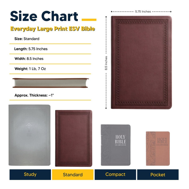 ESV Purple Plum Standard Size Holy Bible Large Print | Be the Light