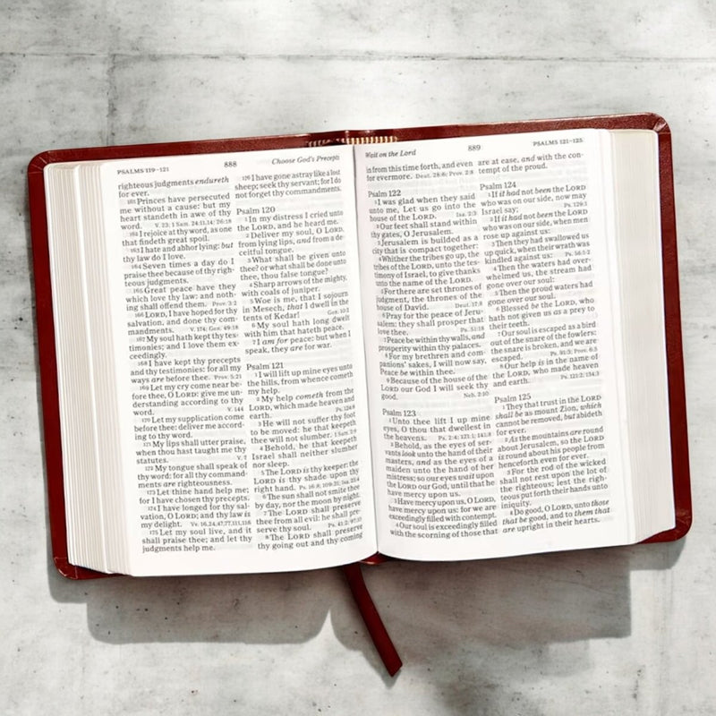 KJV Brown Compact Size Holy Bible Small Print