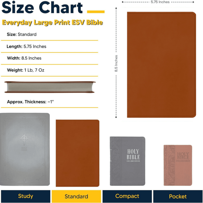 ESV Light Brown Standard Size Holy Bible Large Print | Be the Light