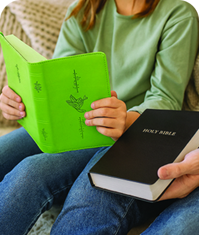Beginner's Bible