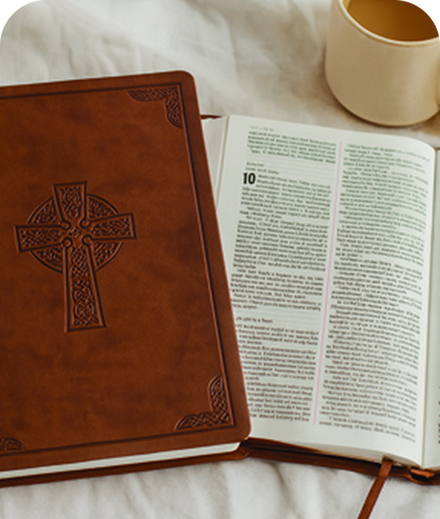 Easy-to-Read Bible