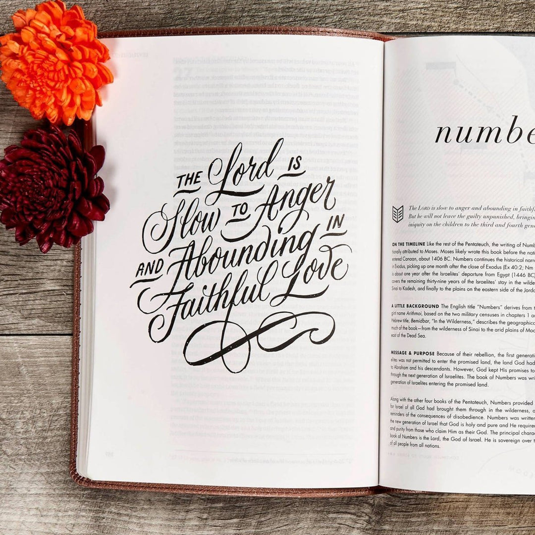 Personalized CSB She Reads Truth Community Study Bible Faux Leather Medium Print Size Rose Gold with FULL COVER Floral Sun Flower Design | Shepherds Shelf - Shepherds Shelf