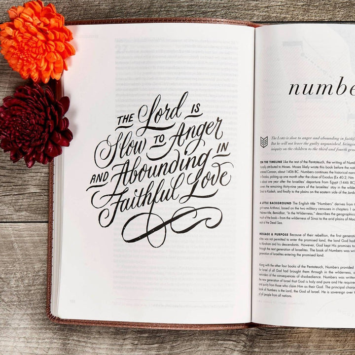 Personalized CSB She Reads Truth Community Study Bible Faux Leather Medium Print Size Rose Gold with FULL COVER Pen Stroke Cross Design | Shepherds Shelf - Shepherds Shelf