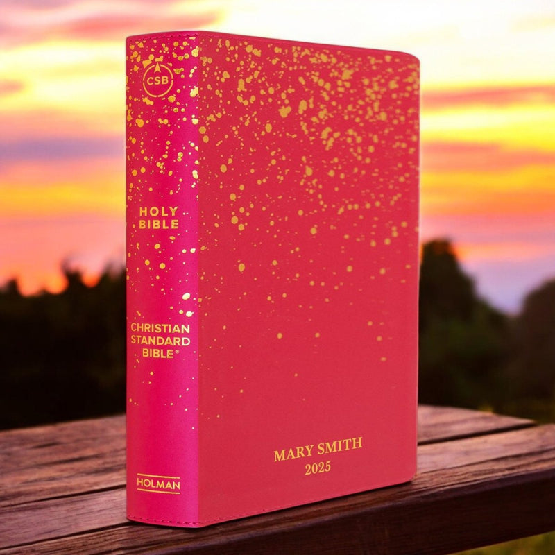 CSB Soft Pink Kids Holy Bible Large Print
