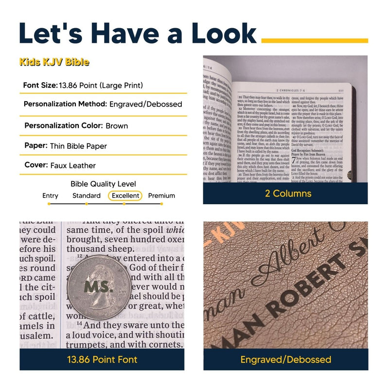 KJV Brown Standard Kids Holy Bible Large Print | Lion