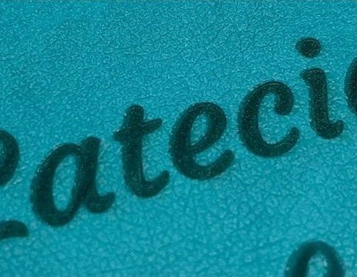 Actual personalization sample for this Bible