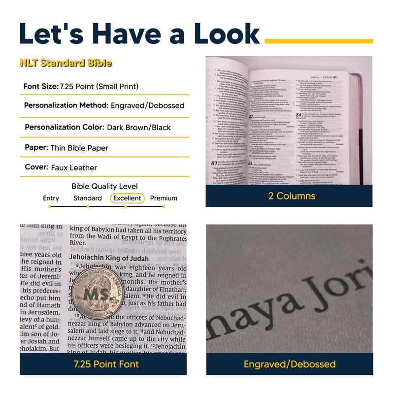 NLT Pink-Brown Standard Size Holy Bible Small Print