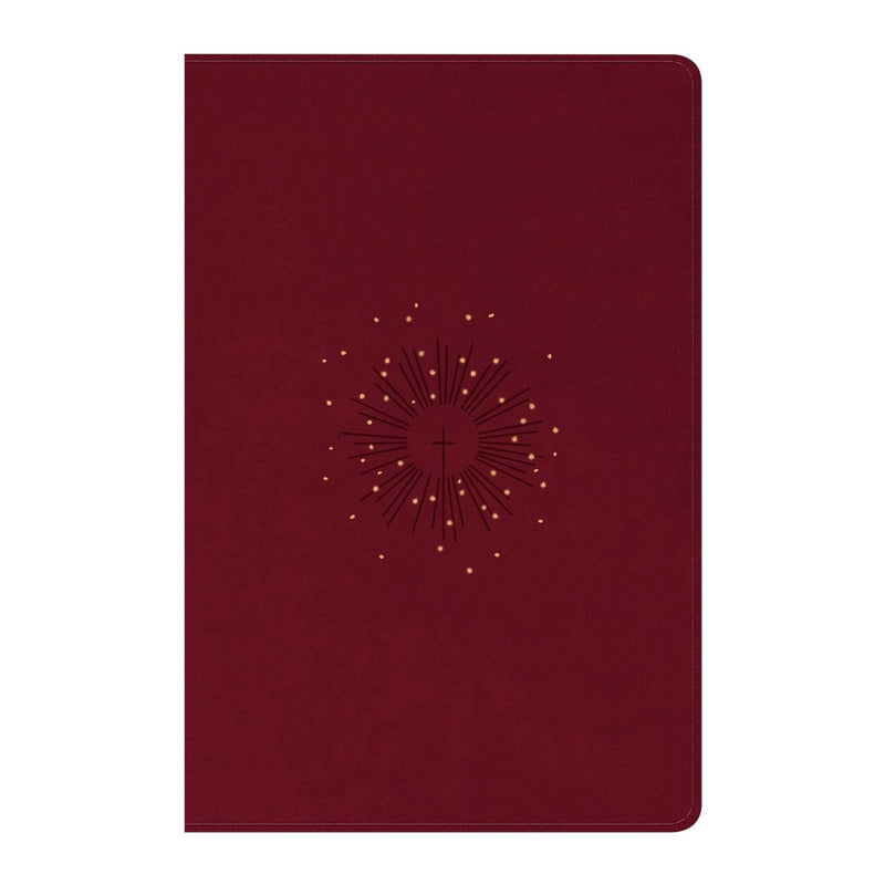 NLT Red Standard Size Premium Holy Bible Large Print