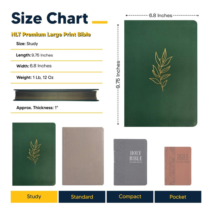 Personalized Premium Large Print NLT Holy Bible with Custom Name in Gold Christian Large Print New Living Translation Bible Gift for Religious Celebrations | Shepherds Shelf - Shepherds Shelf