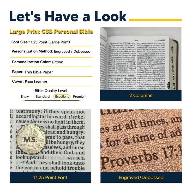 CSB Brown Standard Size Holy Bible Large Print with Index Tabs