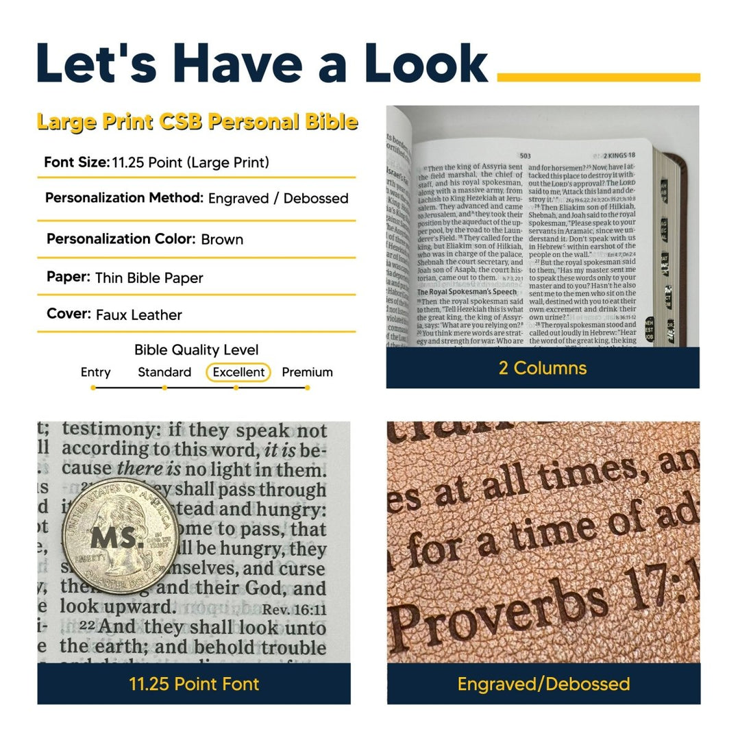 CSB Brown Standard Size Holy Bible Large Print with Index Tabs