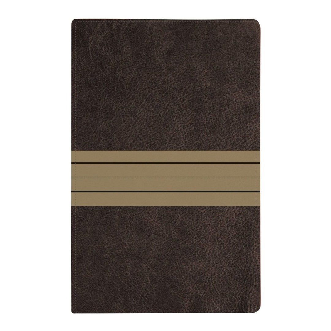 NIV Striped Brown Standard Size Holy Bible Large Print