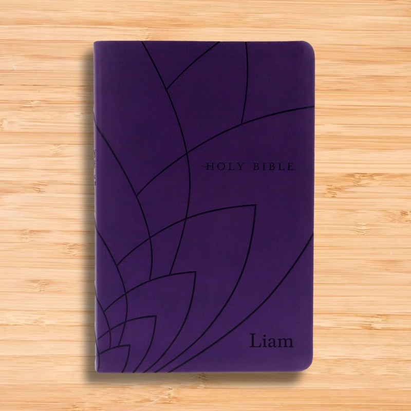 NLT Dark Purple Standard Size Holy Bible Small Print | Petal
