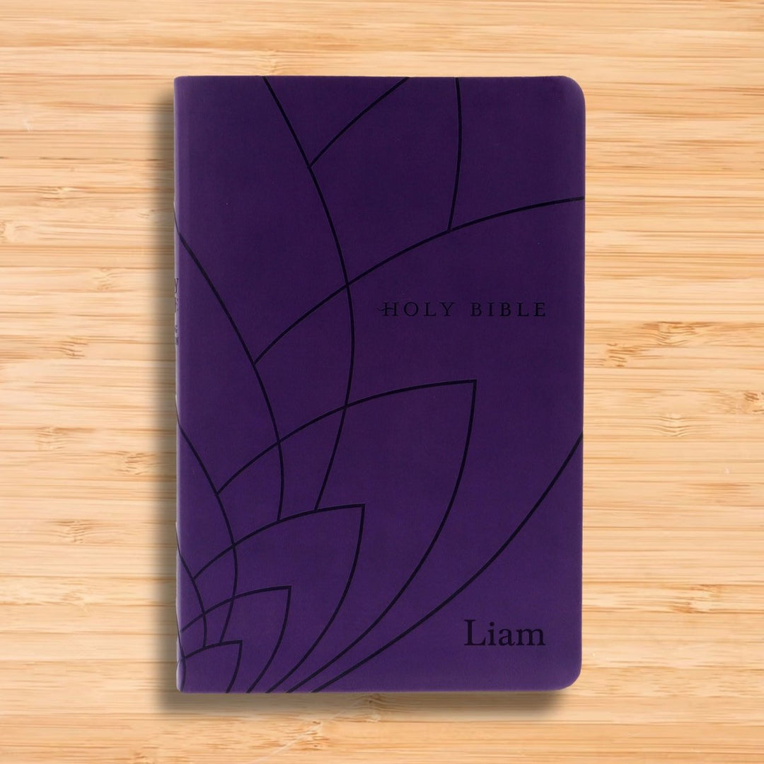 NLT Dark Purple Standard Size Holy Bible Small Print | Petal