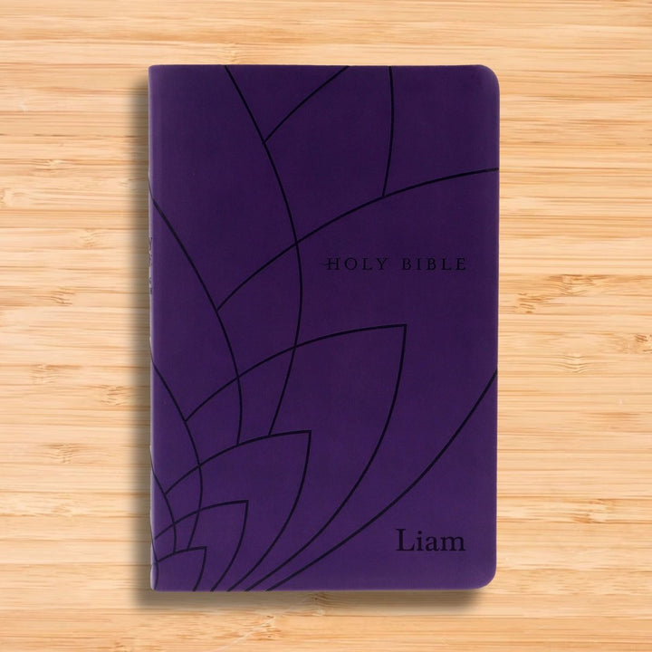 NLT Dark Purple Standard Size Holy Bible Small Print | Petal