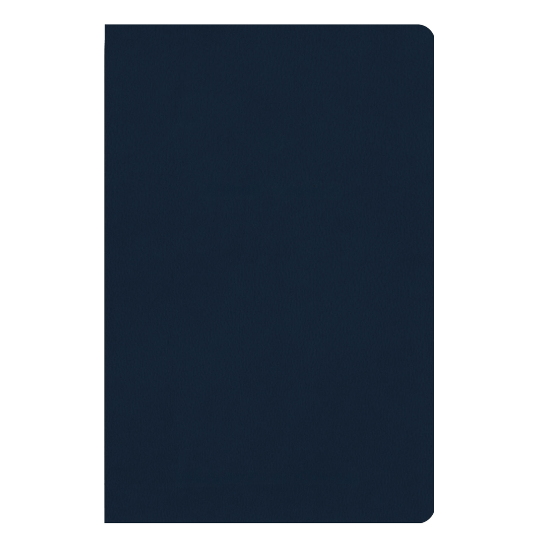 ESV Blue Standard Size TruTone Holy Bible Small Print