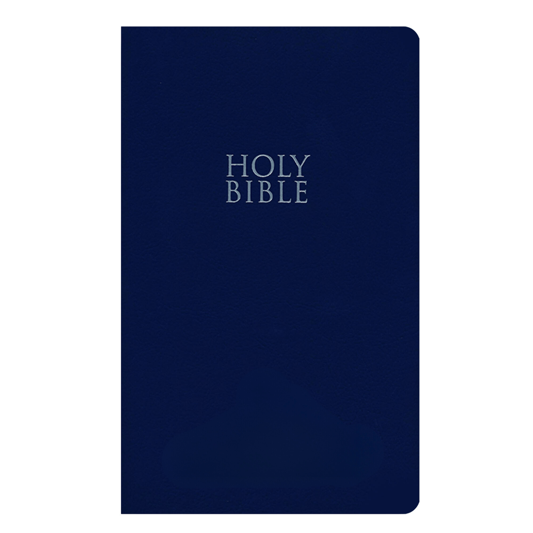 NIV Blue Standard Size Holy Bible Small Print