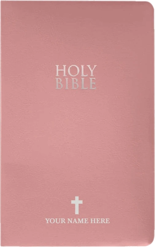 NIV Pink Standard Size Holy Bible Small Print