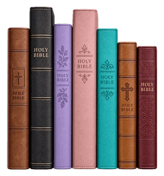 Seven Bible spines in varied colors and sizes
