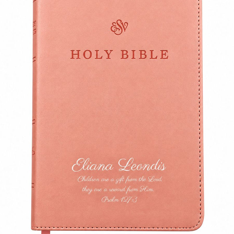 ESV Pink Standard Size Premium Holy Bible Small Print