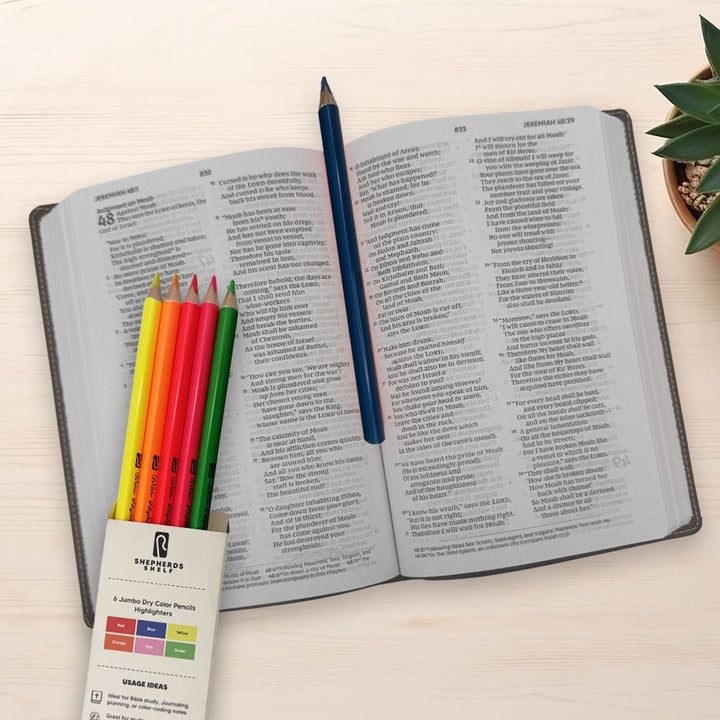 6 Pack Jumbo Dry Color Pencils Highlighter | Shepherds Shelf - Shepherds Shelf