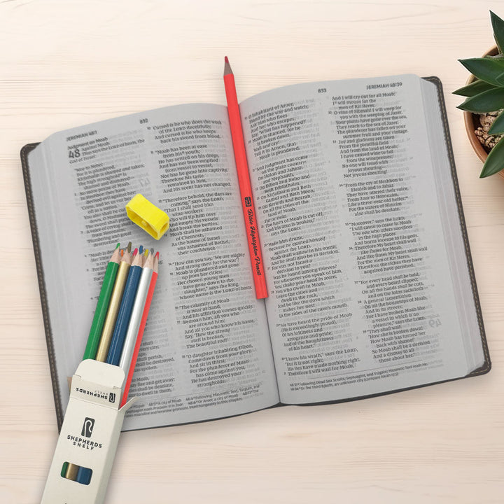 8 Pack Dry Highlighter Pencil + Sharpener | Shepherds Shelf - Shepherds Shelf