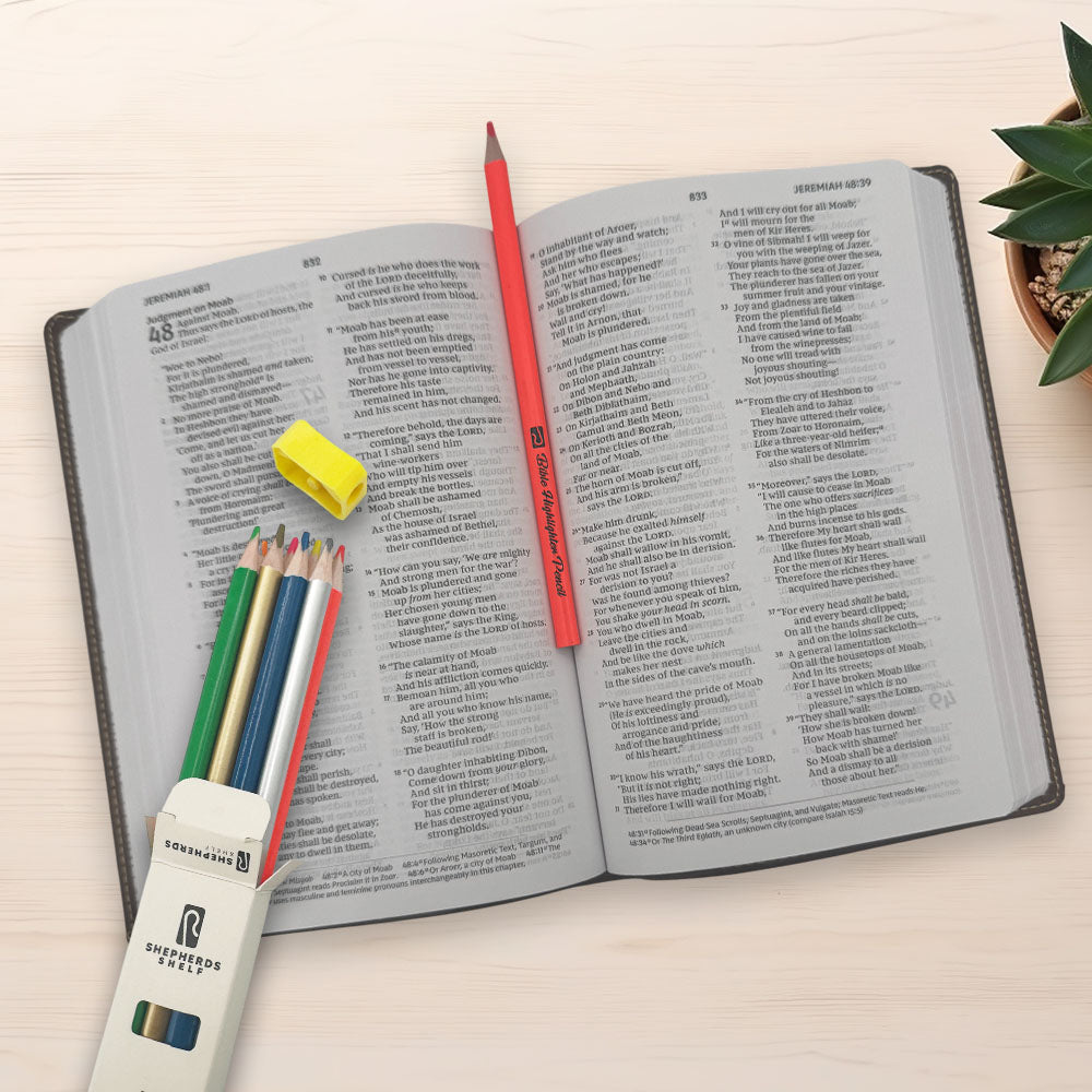 8 Pack Dry Highlighter Pencil + Sharpener | Shepherds Shelf